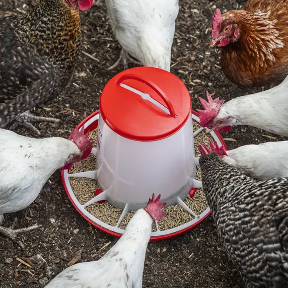 AFT042_ACT_IN_USE_PIC3_DFC1912136.webp
