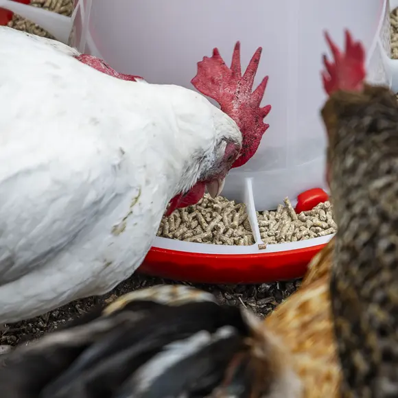 AFT042_ACT_IN_USE_PIC2_DFC1912135.webp